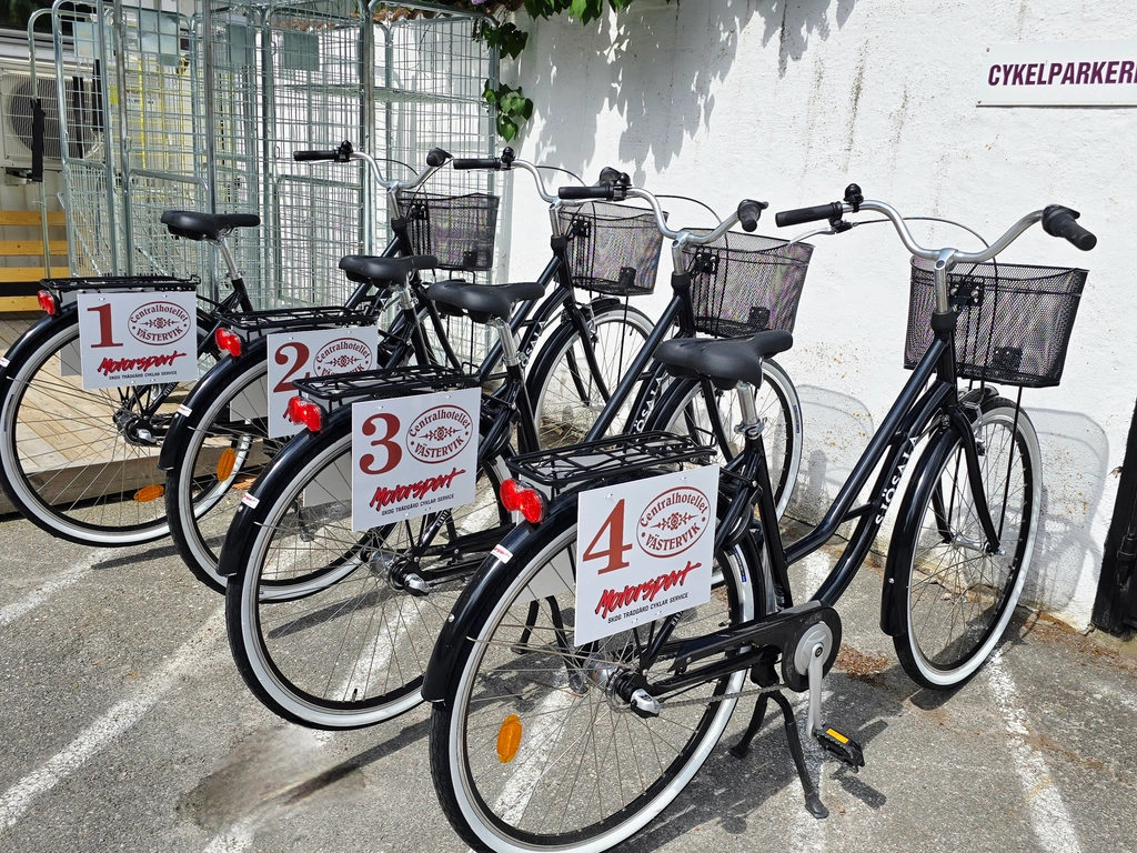 Bike rental