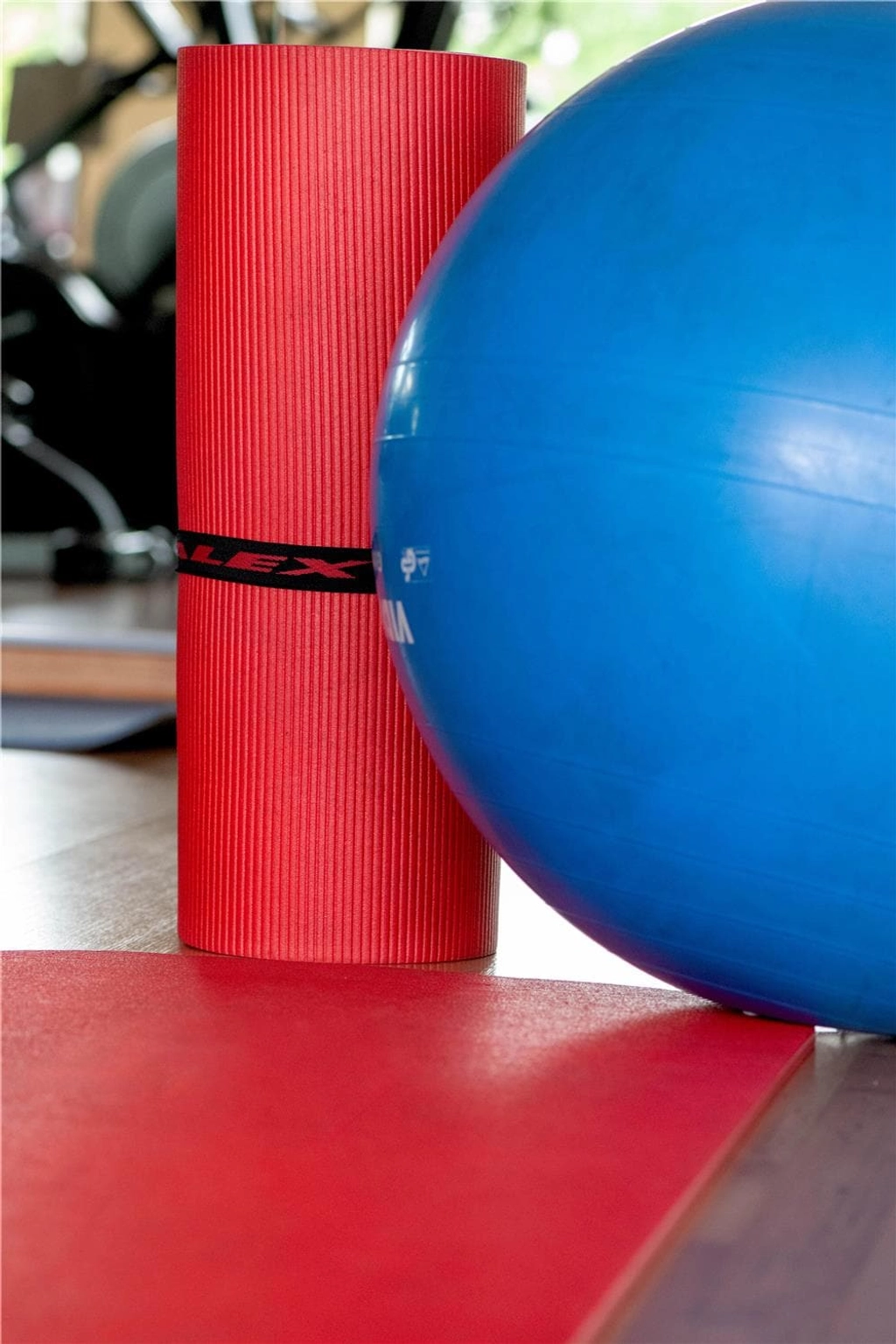 Health club  fitness center  gym
