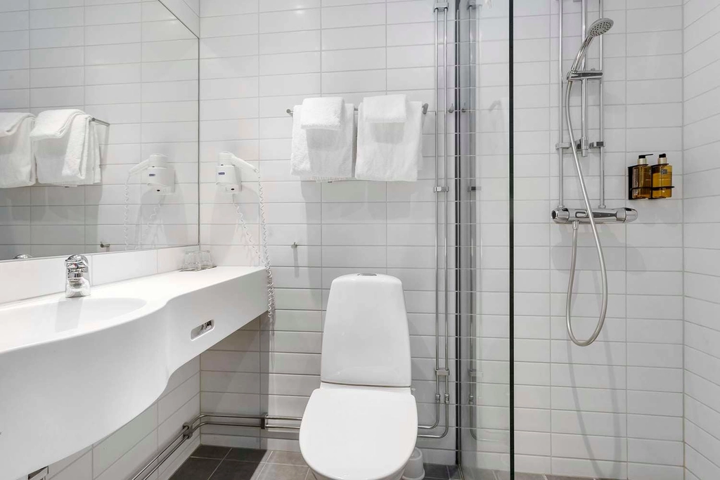 Economy Standard bath BW River C Hotel