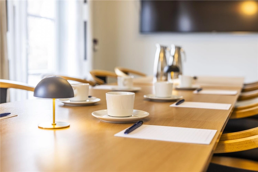 Hotel Birkso meeting