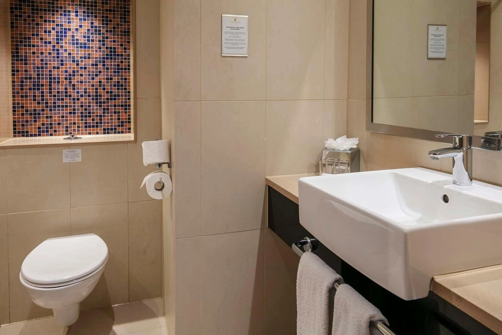 Deluxe Guest Bathroom