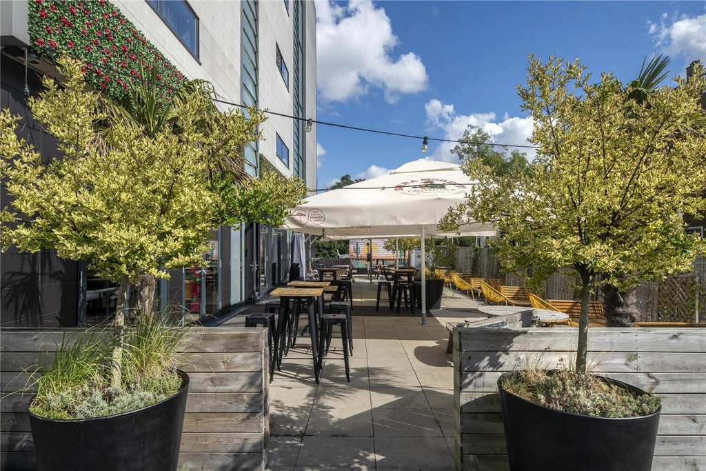 Terras