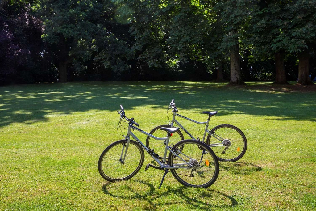 Bike at disposal